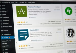 Wordpress Guide